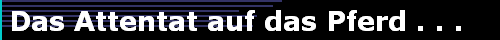  Das Attentat auf das Pferd . . . 