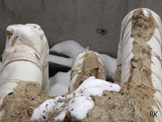 Die Beine des toten Riesen NA