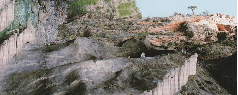 Der Eremit liest Dawkins NA02